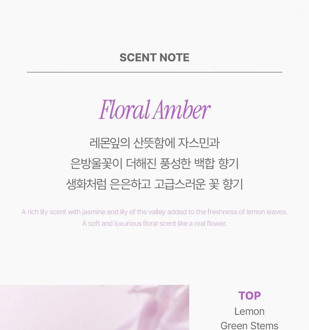 [다이노탱 에디션] 더페이스샵 소울 EDP 30ml 6종 & 솔리드 1종 택1 상세페이지 28